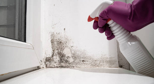 Water damage restoration insurance claims in Dunthorpe, OR